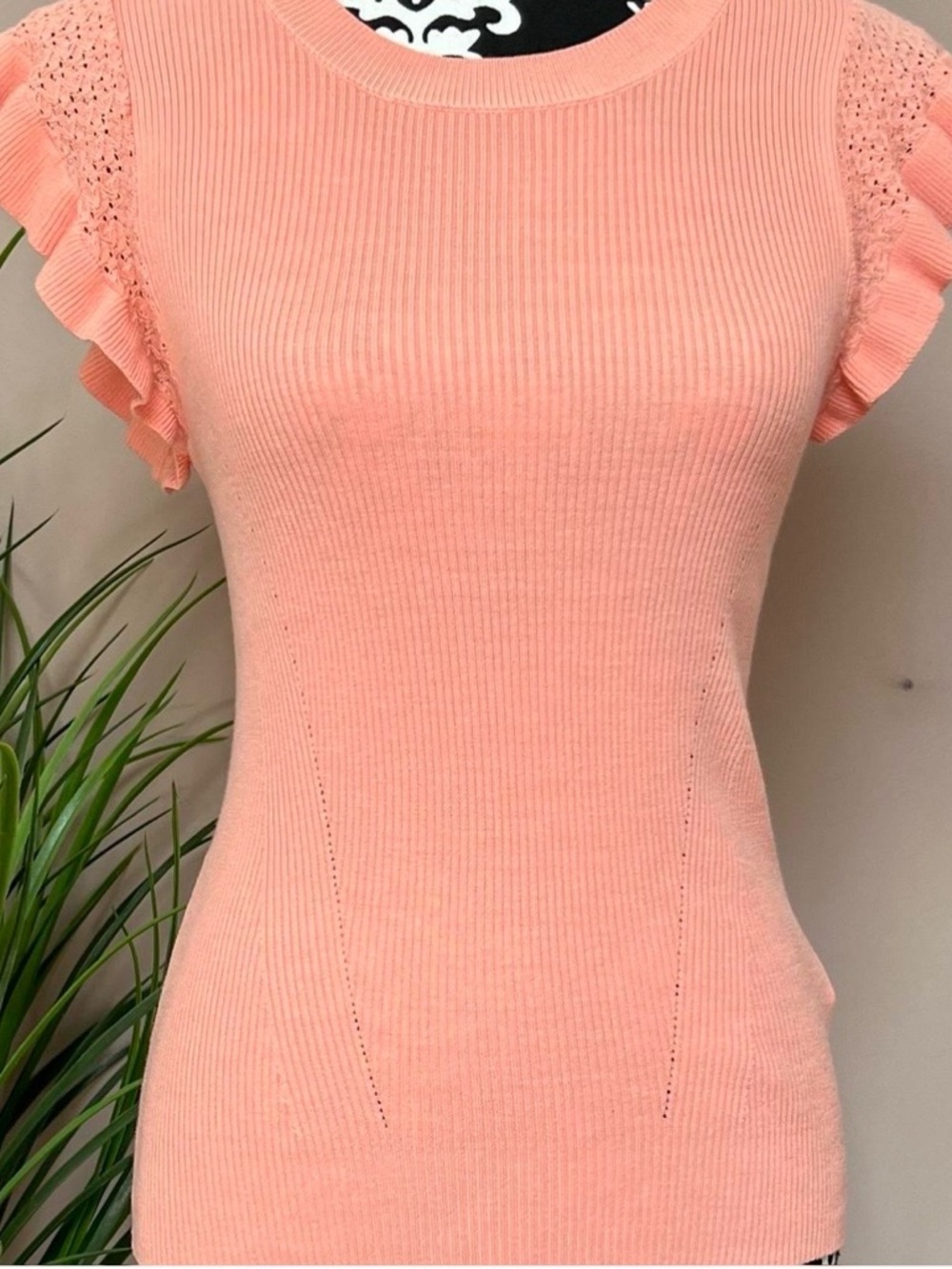 MUSE Viscose Blend Ruffle Cap-Sleeve Ribbed Knit Top